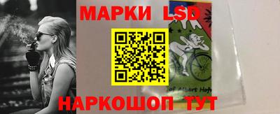 шишки Кинель