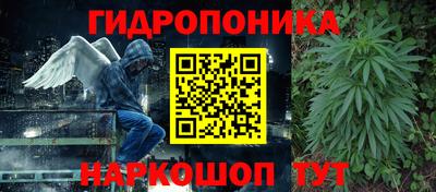 шишки Кинель