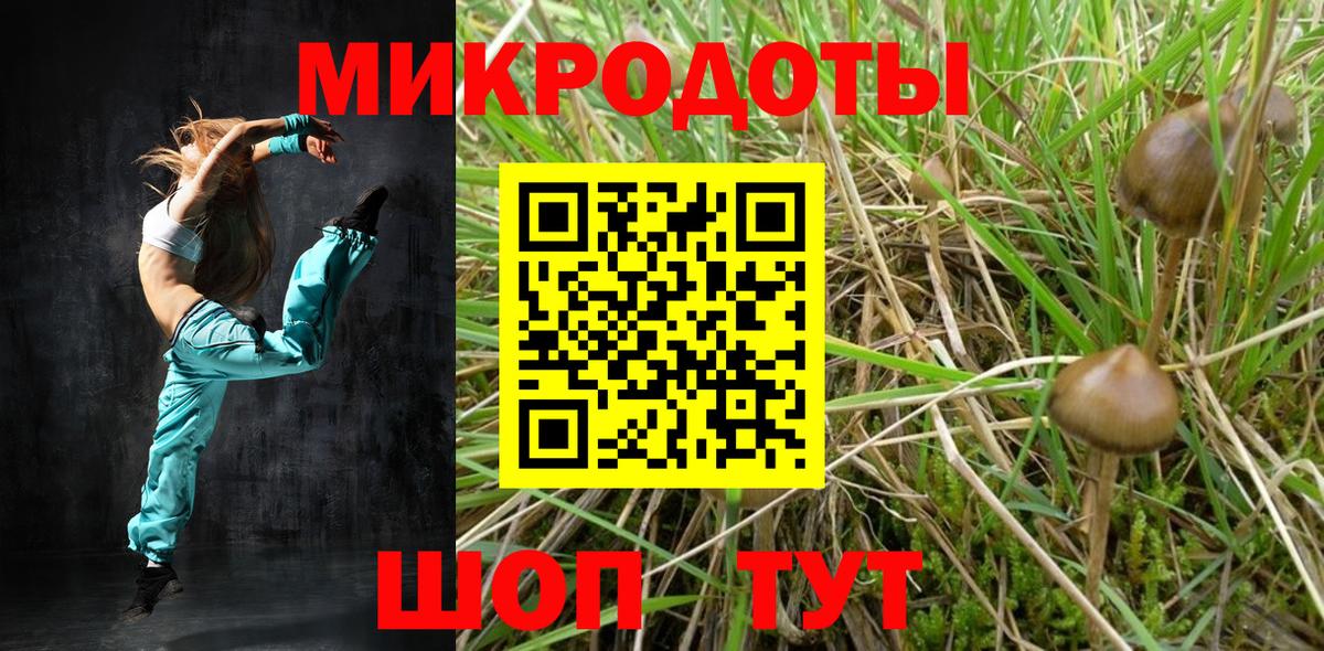 Крымск  Псилоцибиновые грибы GOLDEN TEACHER  Галлюциногенные грибы Psilocybe  Вход с VPN 